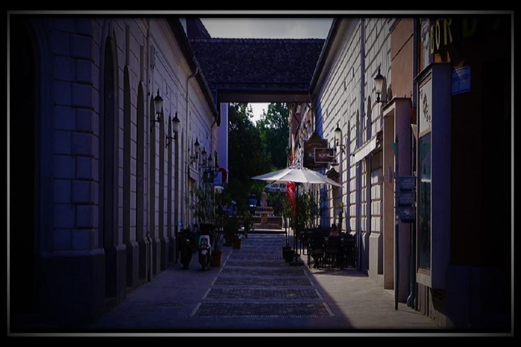 Appartamento Happy Colours In Old Town Kecskemét Esterno foto